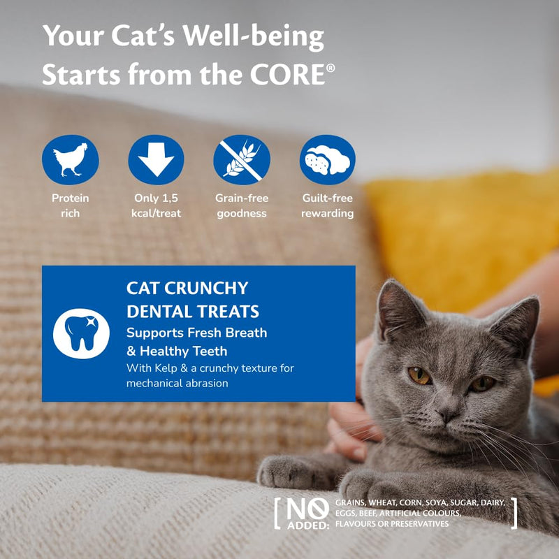 Wellness CORE Dental Treats 50g, Chicken – Cat Treats, Grain-Free, Natural, Hypoallergenic, Protein-Rich, High Meat Content, Supports Oral Health 50 g (Pack of 1)