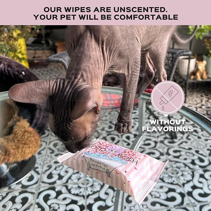 Wet Wipes with Panthenol for Sphynx and Shorthair Cats for Everyday use (3Pack/45Count) - PawsPlanet Australia