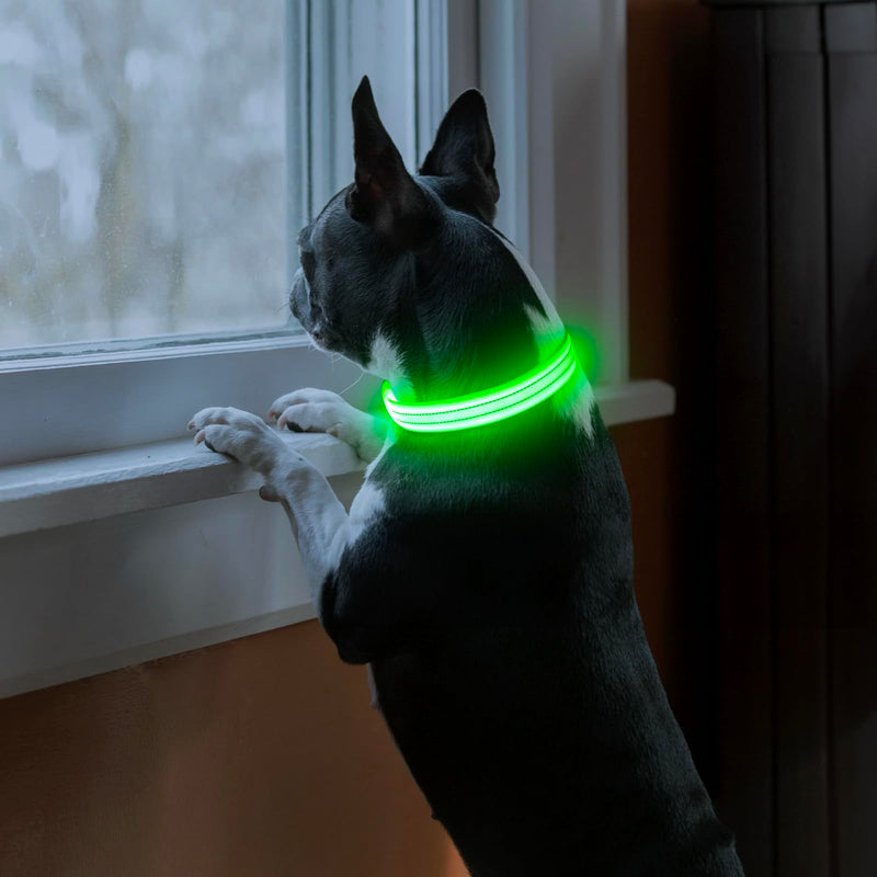 PZRLit Luminous Dog Collar Rechargeable, Dog Collar Luminous for Small Medium Large Dogs, Adjustable LED Collar for Dogs for Night Safety Green, Medium Green - BeesActive Australia