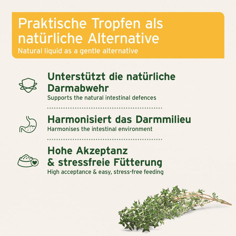 AniForte Worm Herb W-Liquid Drops Liquid - natural alternative for dogs, cats, pets, supports & harmonizes the stomach after worm infestation, Made in Germany, 50ml - BeesActive Australia
