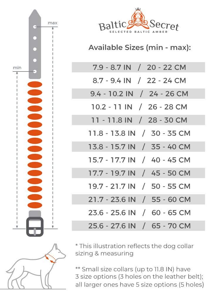 Amber necklace dog | Adjustable amber collar for dogs & cats with leather strap | Dog collar 55-60 - BeesActive Australia