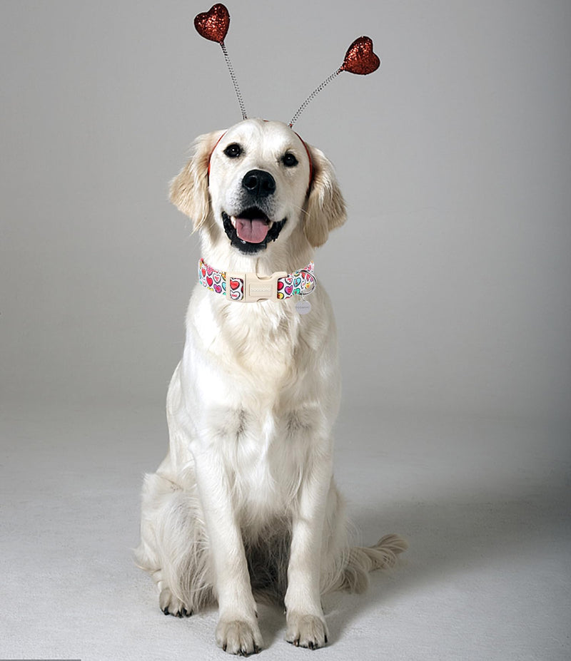 DOGWONG Valentine's Day Dog Collar, Adjustable Durable Heart Candy Dog Collar Cute Dog Collar for Small Medium Dogs Medium (Pack of 1) A: Heart Candy - BeesActive Australia