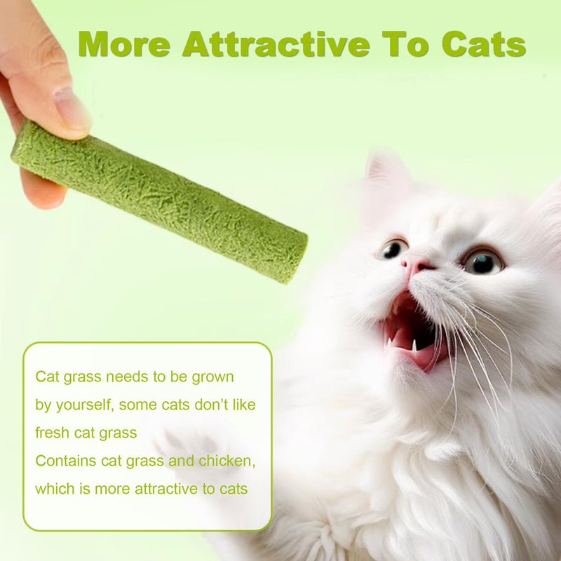 Cat Grass Teething Stick Grass for Indoor Cats, Dental Treats Cat Chew Sticks Cats Teeth Cleaning Treats Natural Grass Catnip Stick Catnip Teething Toy Dental Sticks for Hairball Removal (12 Pcs) 12 Pcs