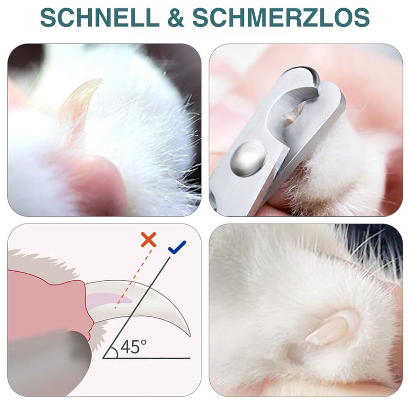 Excellent claw scissors for cats - Easy and safe to use, ideal for beginners! - BeesActive Australia