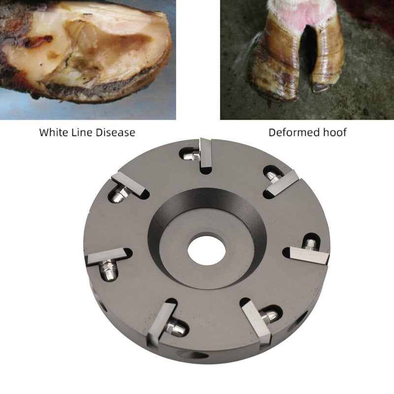 Hoof Trimming Disc Professional Hoof Trimming Disc Plate Electric Hoof Knife Tool Aluminium Alloy Livestock Sheep Cattles Horses Hoof Nipper Knife Tool - BeesActive Australia