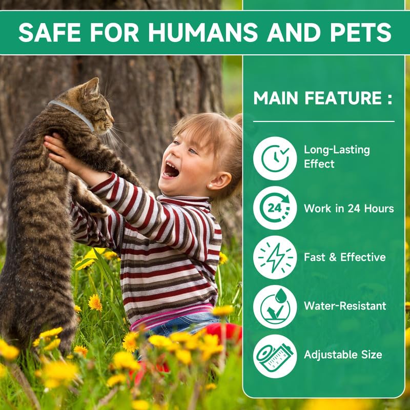 4 Pack Flea Collar for Cats, Adjustable Flea and Tick Collar for Cats, 8 Months Protection Cat Flea and Tick Treatment Collar, Flea and Tick Prevention for Cats, Waterproof Cat Flea Collar 4 Pack Grey - BeesActive Australia