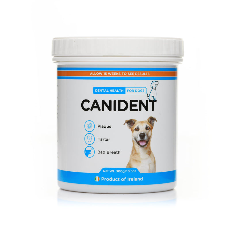 Organic Irish Seaweed Dental Supplement for Dogs, Natural Plaque and Tartar Control, Fresh Breath Formula, 3 Brown Seaweeds Blend 300g Plastic Tub