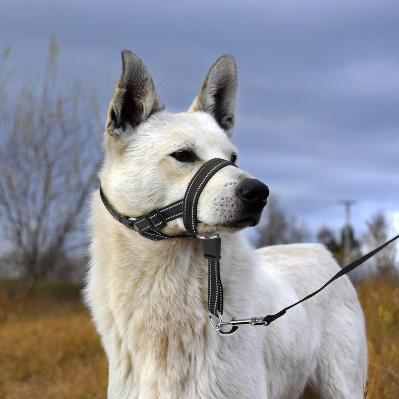No-Pull Dog Headcollar - Reflective Head Halter Collar for Dogs, Padded Dog Head Collar to Stop Heavy Pulling, Anti-Pull Muzzle Leash (Black, Medium) Black - BeesActive Australia