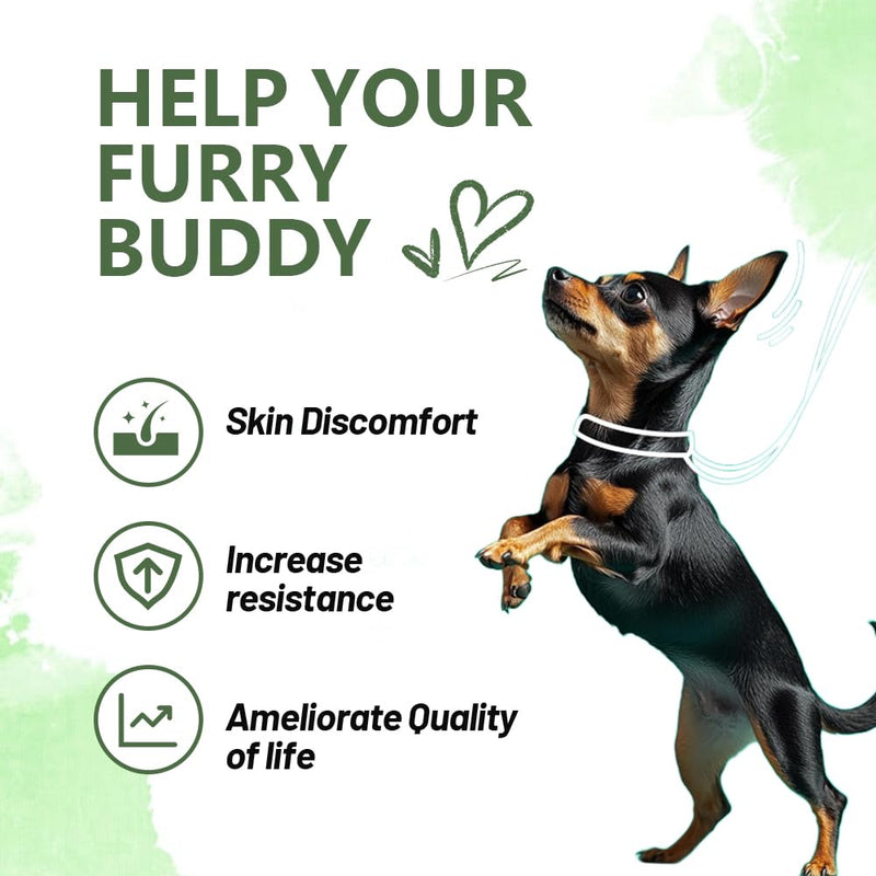 Allergy Powder for Dogs, 90g Salmon Flavor - Itch Relief & Immune Support with Probiotics, Quercetin & Salmon Oil | Vet-Approved Formula for Seasonal Allergies & Sensitive Skin (Salmon)