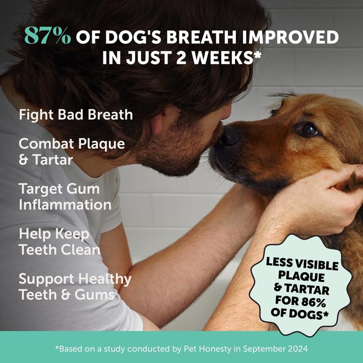 Pet Honesty Hip + Joint Health for Dogs + Dental Powder for Teeth Cleaning & Plaque Removal, Bacon Flavored Joint Supplement for Mobility & Joint Support - PawsPlanet Australia