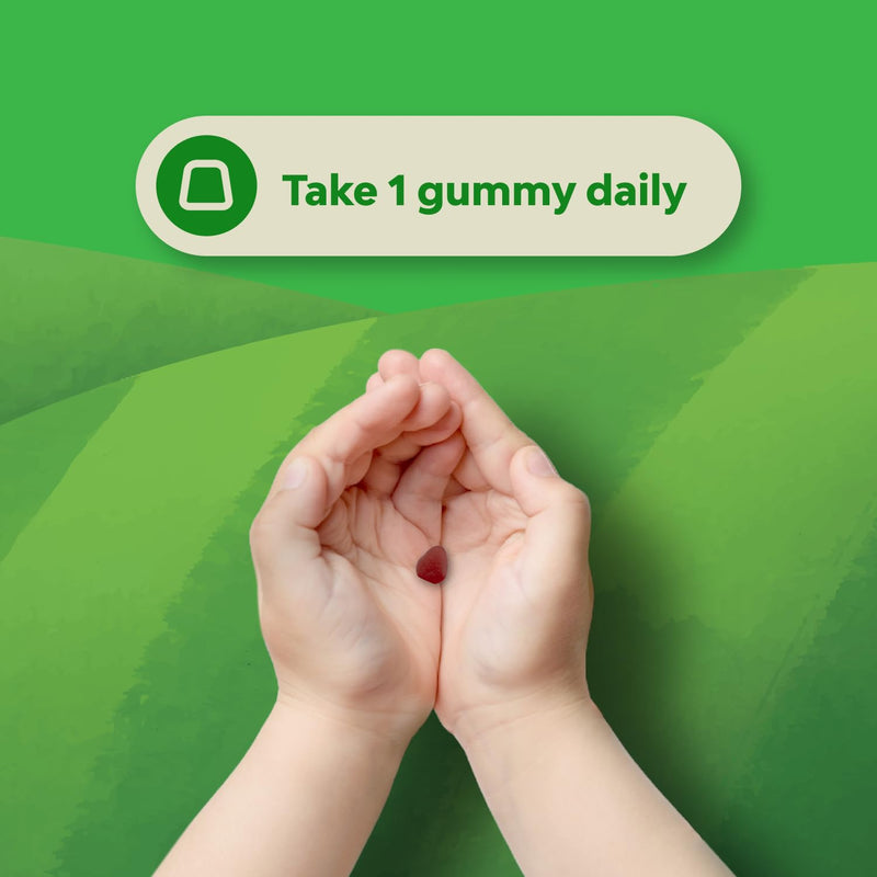 USDA Organic Probiotic Gummies for Kids - Vegan Non-GMO Kids Probiotic Gummy Vitamin for Immunity and Digestive Health - Gentle 2.5B CFU Organic Probiotics Strawberry Flavor 60 Count (Pack of 2) 60 Count (Pack of 2)