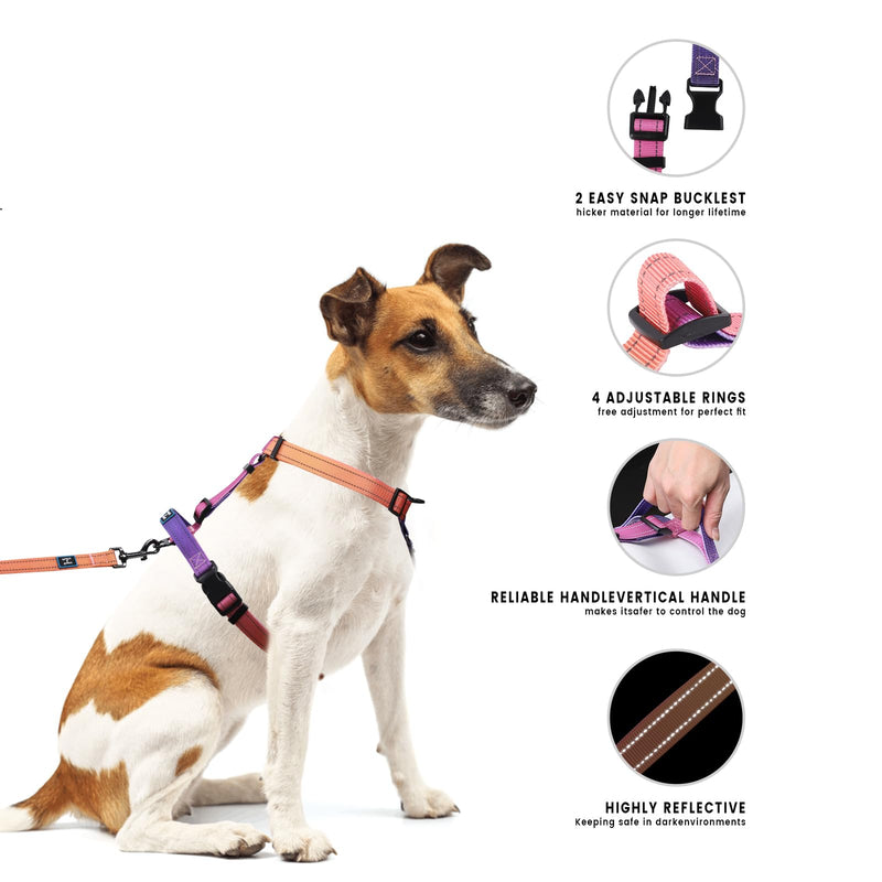 Roses&Poetry Dog Harness with Leash, No Pull Adjustable Harness Leash, Reflective Dog Halter Harnesses Comfort Padded Handle, Pet Walking Harness for Medium Dogs（Mistyrose-M） Mistyrose - BeesActive Australia