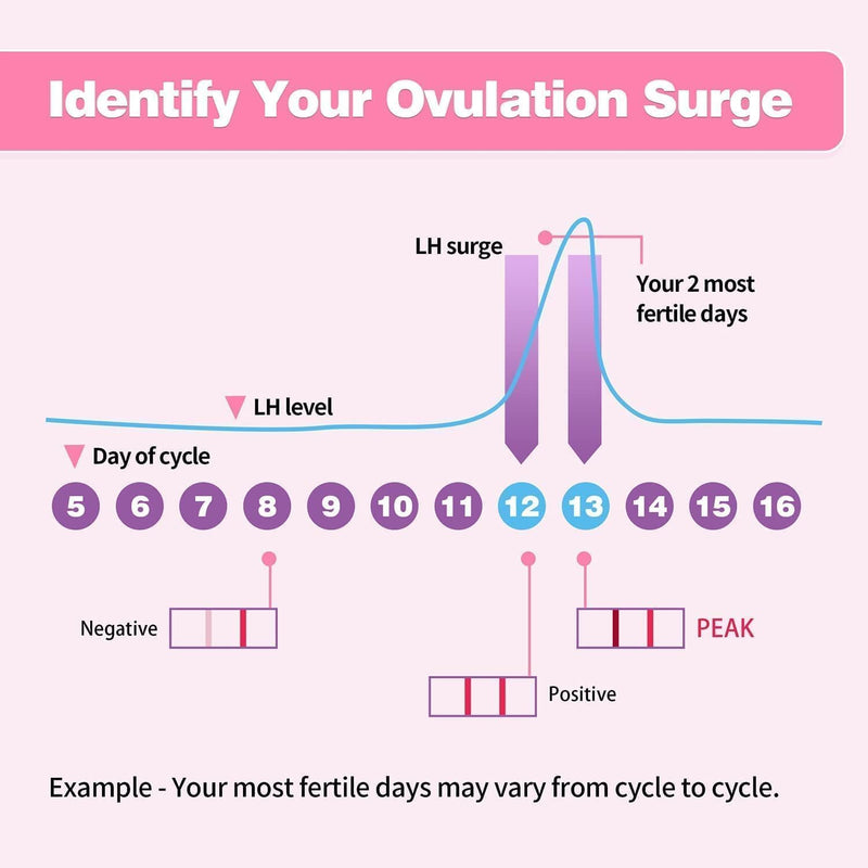 50 Count Ovulation Test Strips with Cups, Bulk Ovulation Test Strips for Women, Ovulation Predictor Kit, Accurate Fertility Tests for Home, Individually Wrapped 5mm LH 1 Count (Pack of 50) - BeesActive Australia