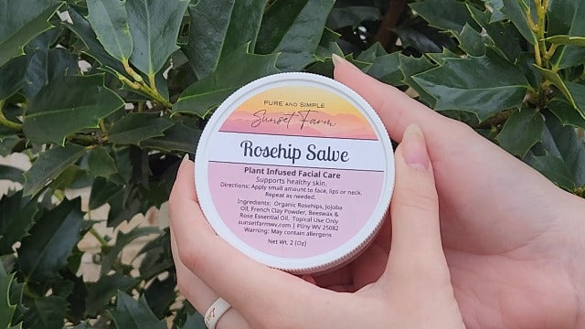 Rosehip Salve for Nourished Face & Skin | Organic, Non-GMO, Small-Batch Herbal Balm | Family Made in WV | 2 oz Jar