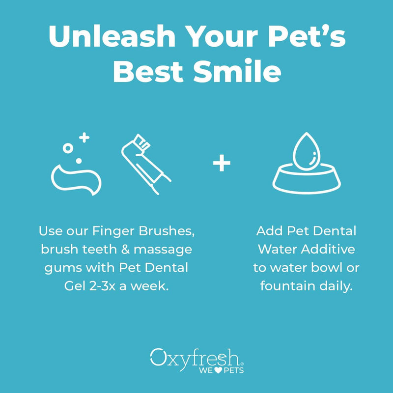 Oxyfresh Premium Pet Dental Kit for Dogs & Cats – Easy Solution for Dog and Cat Fresh Breath, Clean Teeth, Control Plaque & Tartar – Vet Formulated Pet Toothpaste 4oz + Water Additive 16oz Kit Large Kit - PawsPlanet Australia