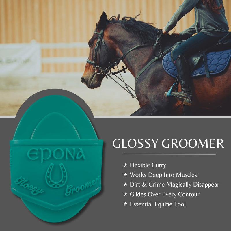 Epona Glossy Groomer (Turquoise) Horse Grooming Tool - BeesActive Australia