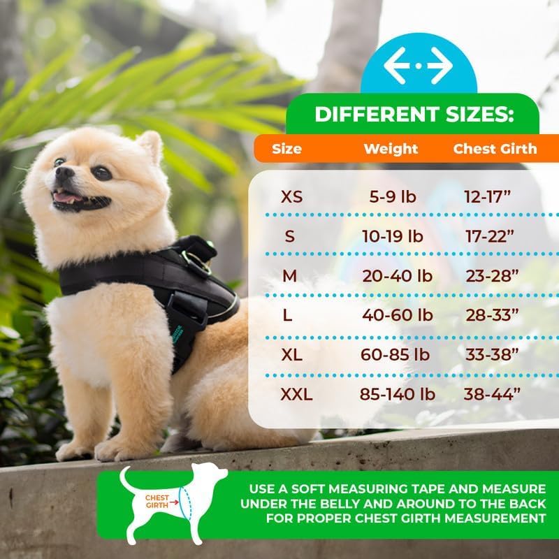 Joyride Harness Summer Mesh Vest – 2.0 No Pull Dog Harness - Adjustable, Breathable Vest - Custom Name Tag Included - Perfect for Small, Medium & Large Dogs Black - BeesActive Australia