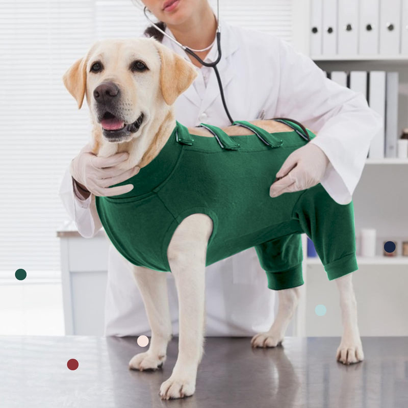 IECOii Dog bodysuit after castration male dogs, breathable bodysuit for dogs after surgery for surgical abdominal wounds and skin protection, e-collar alternative after dog body surgery, large-green large (chest: 22.8-27.2 in) green - BeesActive Australia