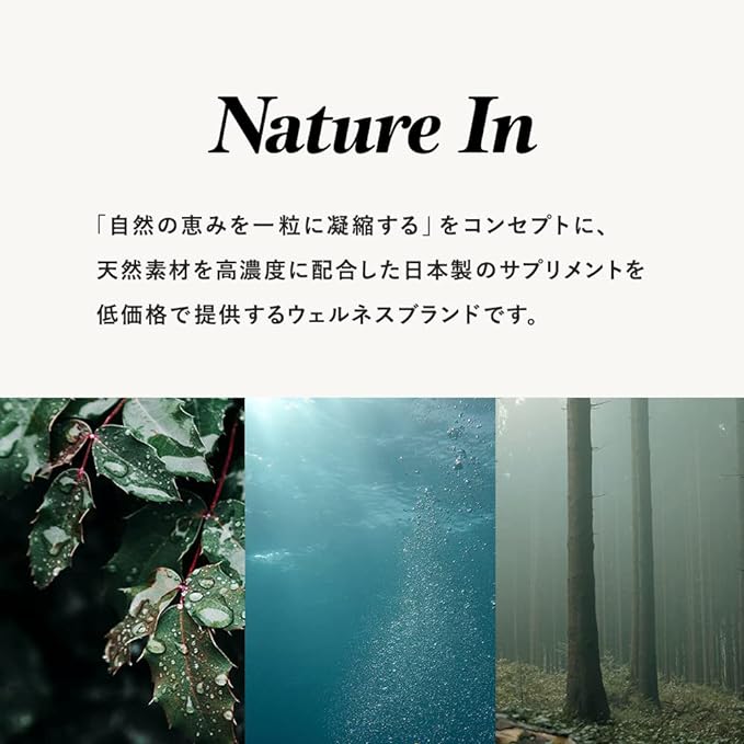 Nature In Vitamin D3 2000IU 120 Capsules Supplement Made in Japan Made in Japan - BeesActive Australia