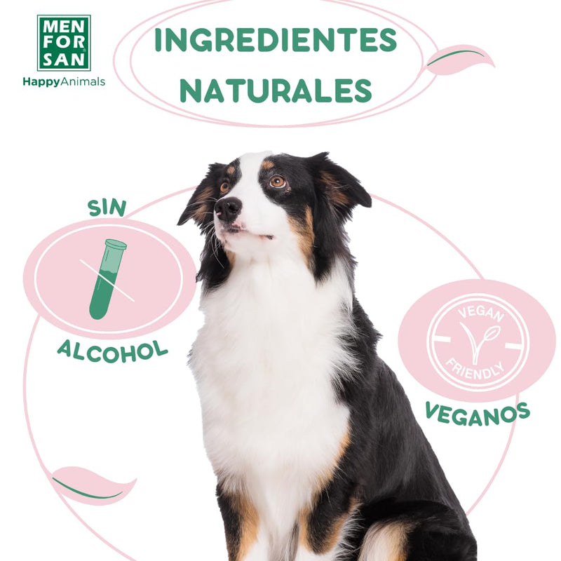 MENFORSAN Eau de Cologne for dogs | cherry | Intense and refreshing scent | Deodorizing effect | With very mild ingredients that do NOT irritate the skin | With neutral pH value | 125 ml 125 ml (pack of 1) - BeesActive Australia