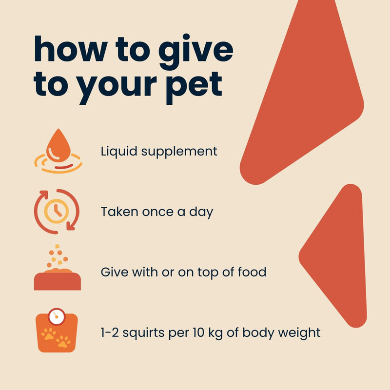 Seraquin Skin & Coat | 95 ml liquid supplement | Promotes glossy fur | Reduces irritation associated with dermatitis and eczema | For cats and dogs Dogs & Cats