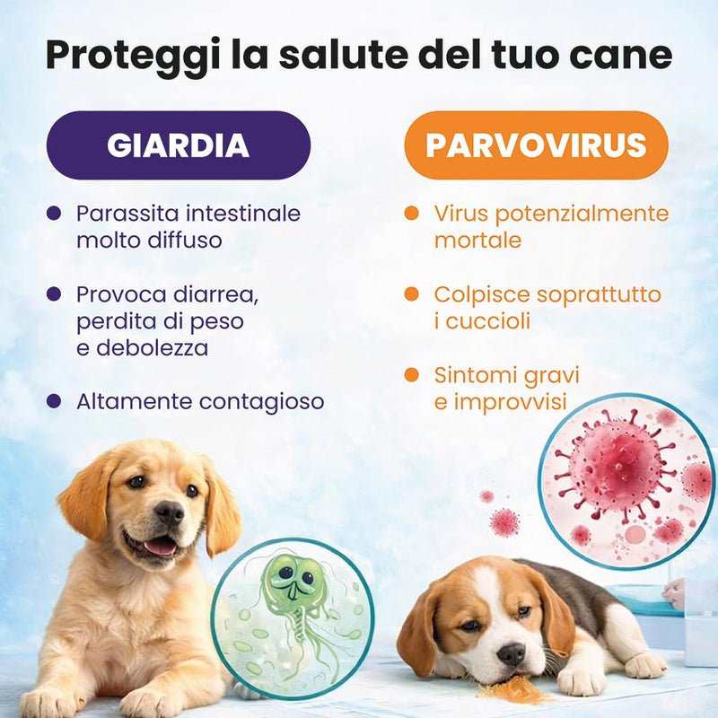 Parvovirus and Giardia Lamblia Rapid Test for Dogs | 2 CPV & Giardia Lamblia Analysis Kits on Stool or Vomit Sample | Fast Result in 5-10 Minutes | High Sensitivity Pet Test