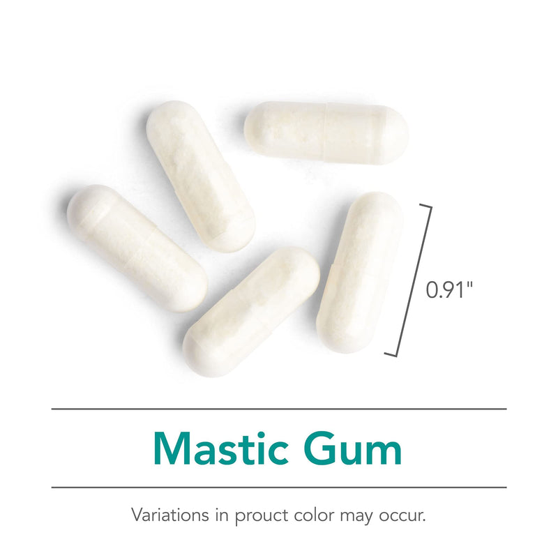 NutriCology Mastic Gum Chios Resin Digestive, 120 Capsules | 1000 mg Chios Mastic Gum Resin per Serving for Digestive Comfort, Vegetarian and Hypoallergenic Formula 120 Count (Pack of 1)