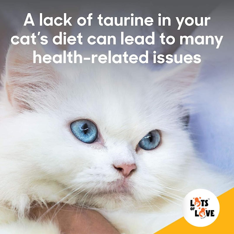 FELO Taurine - Taurine Supplement for Cats, Taurine for Cats, Taurine Powder for Cat - 16 Oz, Powder (Thomas Pet Earlier)