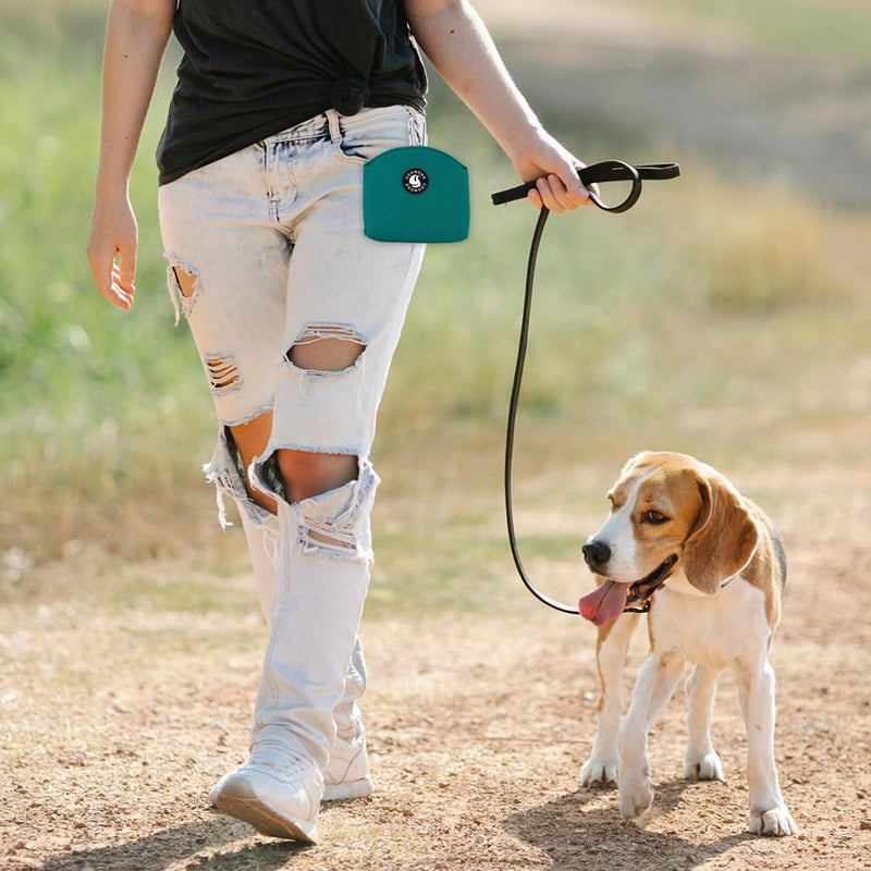COOWONE Dog Treat Pouch Magnetic Closure Small Dog Training Treat Pouch Pocket Sized Small Dog Treat Pouch with Clip (Green) Green - BeesActive Australia