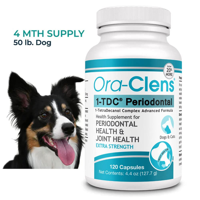 1-TDC Periodontal Supplement ES for Dog & Cat, Supports Oral, Hip & Joint Health, Muscle & Stamina Recovery, Skin & Coat Health, 120 Capsules 1-PACK 120 caps - PawsPlanet Australia