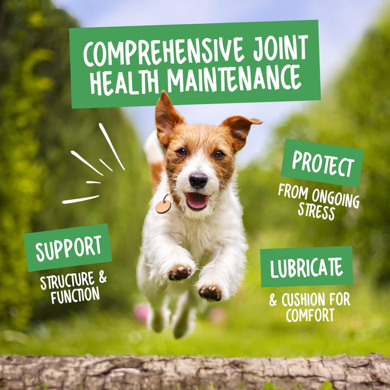 Green Lipped Mussel for Dogs, 120 Tablets. With Natural Joint Supplements for Dogs Glucosamine, Chondroitin and Omega 3 for Hip & Joint Care, Mobility & Vitality in Adult and Senior Dogs