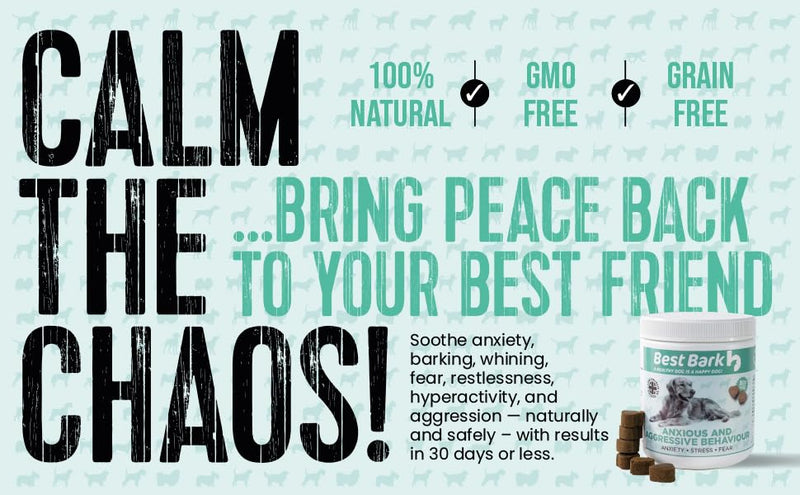 Calming Treats For Dogs - Reduce Stress, Fear, Separation, Barking, Hyperactivity, Reactivity, Aggression, Travel - Calm without Drowsiness dogs