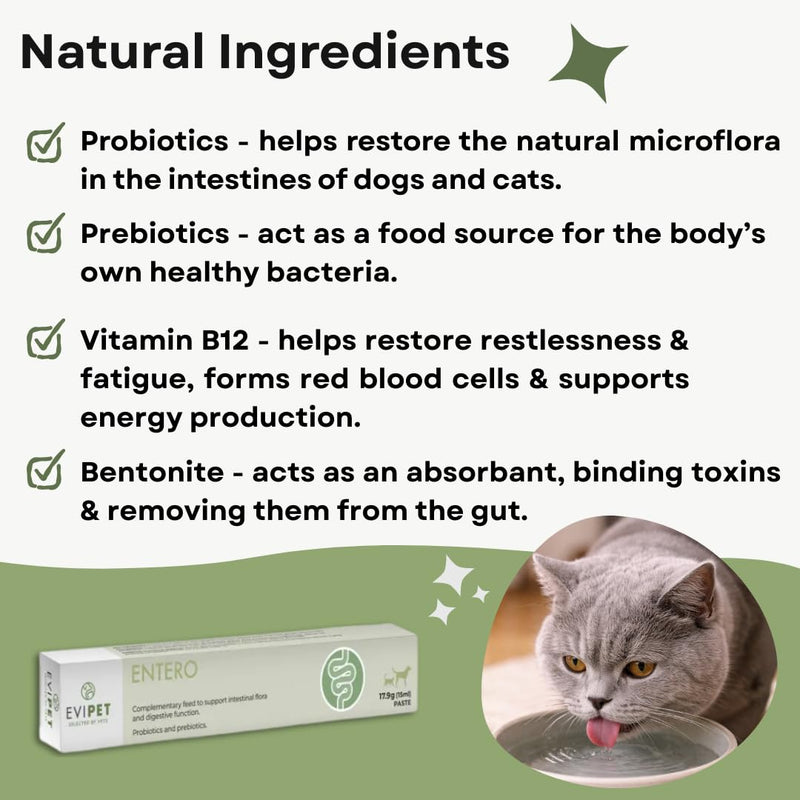 Entero Paste for Digestive Function in Cats and Dogs 15ml | Helps Maintain Normal Digestive Function | Promotes Friendly Bacteria