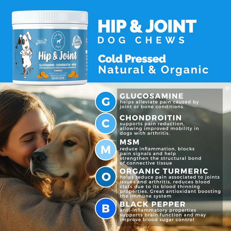 Hip & Joint Chew for Dogs - Now with Turmeric and Black Pepper - Pet Products with Glucosamine, Chondroitin, & MSM + Vitamins C and E for Dog Joint Relief – 120 Count - PawsPlanet Australia