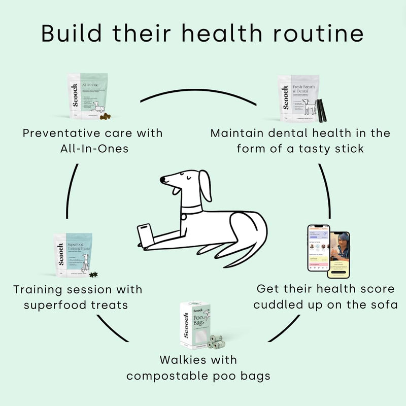 Scooch All-In-One Dog Multivitamin, 60 Tasty Crunchy Chews Even Fussy Dogs Eat | Daily Supplement Supporting Skin, Coat & Joints | Plant-Based Peanut Butter & Coconut | For Dogs from 12 Weeks Adult