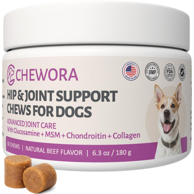 Hip & Joint Dog Chews – 6.3 oz (60 Soft Chews), Natural Beef Flavor, Glucosamine Chondroitin MSM, Collagen & Green Lipped Mussel for Joint Support, Mobility & Stiffness Relief