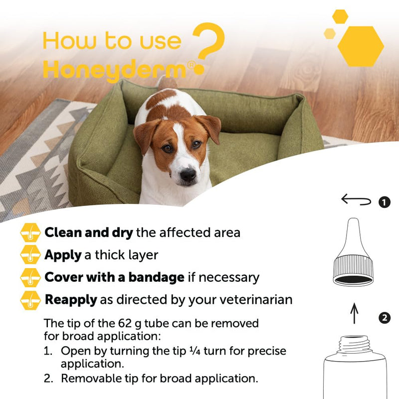 Honeyderm Balm for Cats & Dogs – Soothing Honey Balm for Dry or Irritated Skin, Minor Wounds & Cracks – Safe, Fragrance-Free, 62g Tube