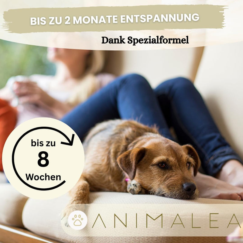 Calming Collar for Dogs [Pack of 2] - 60 Days Use - Anti Stress for More Relaxation at Home - New Year's Eve, Separation & Veterinarian Visit - Pheromone Calm Band with Natural Fragrance