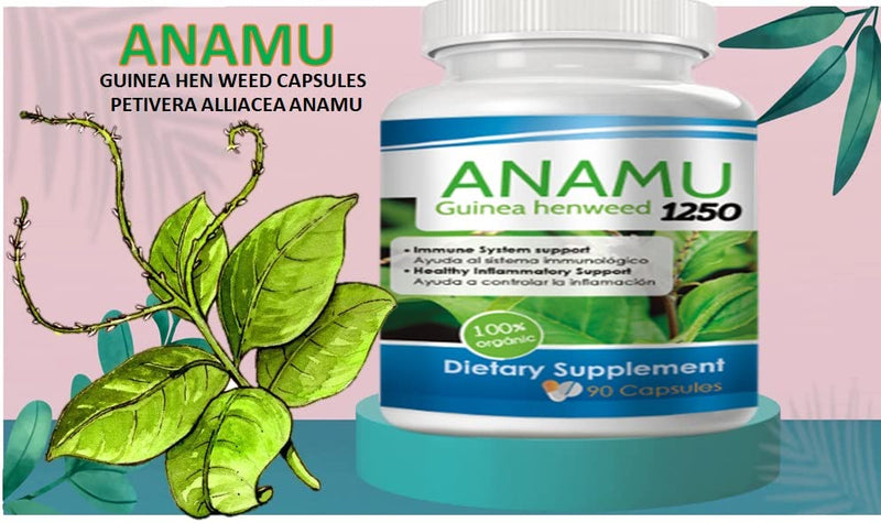 VITAMISAN Anamu 1250 mg Organically Grown 90 Capsules petiveria alliacea 180 Count (Pack of 1)