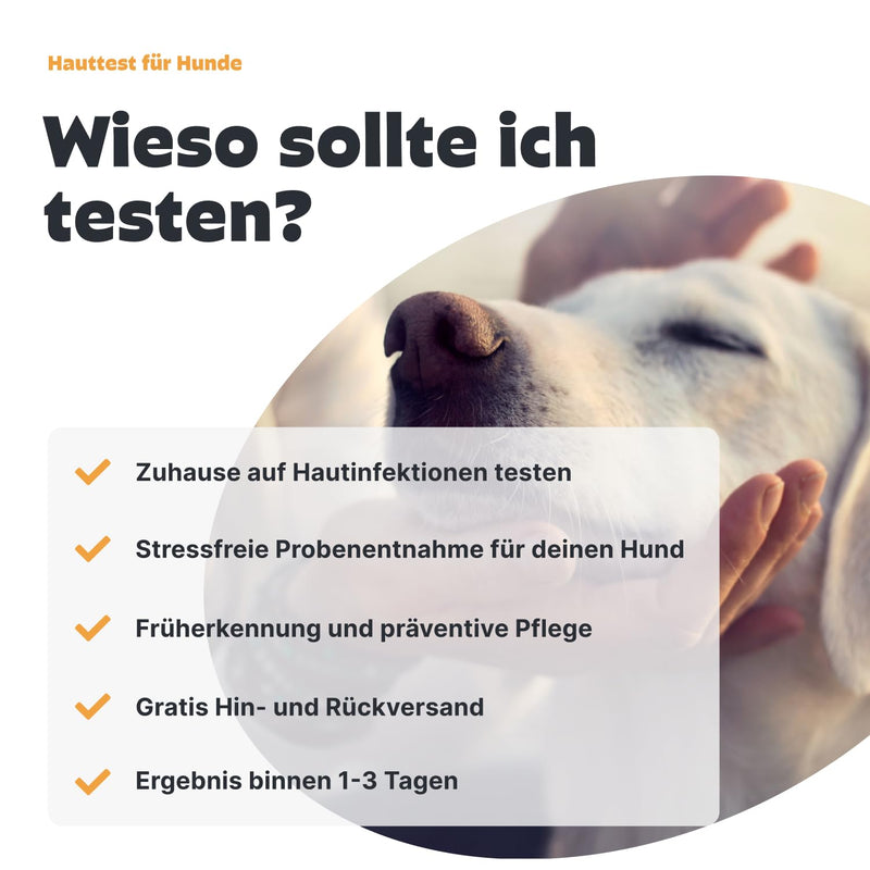 Pezz skin and itch test for dogs for sending in two swab samples | Test for mites, bacteria and yeast at home without any stress Result as a laboratory finding | free laboratory shipping - BeesActive Australia