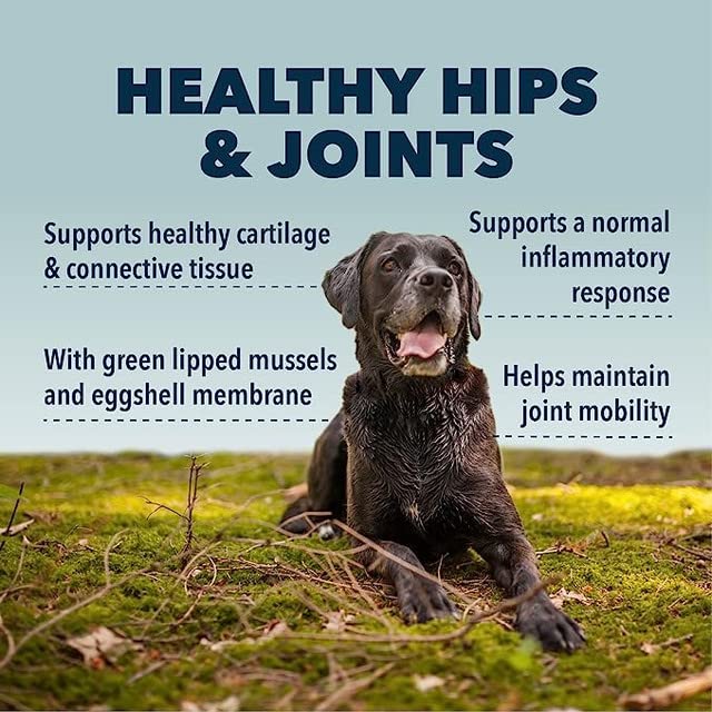 Hip & Joint - Mobility & Joint Support with Glucosamine and Chondroitin for Dogs, 2.4 oz - 22 to 60 Day Supply, Depending on Dog’s Weight - Vet Formulated - Easy to Mix - Delicious 30-Day Supply - PawsPlanet Australia