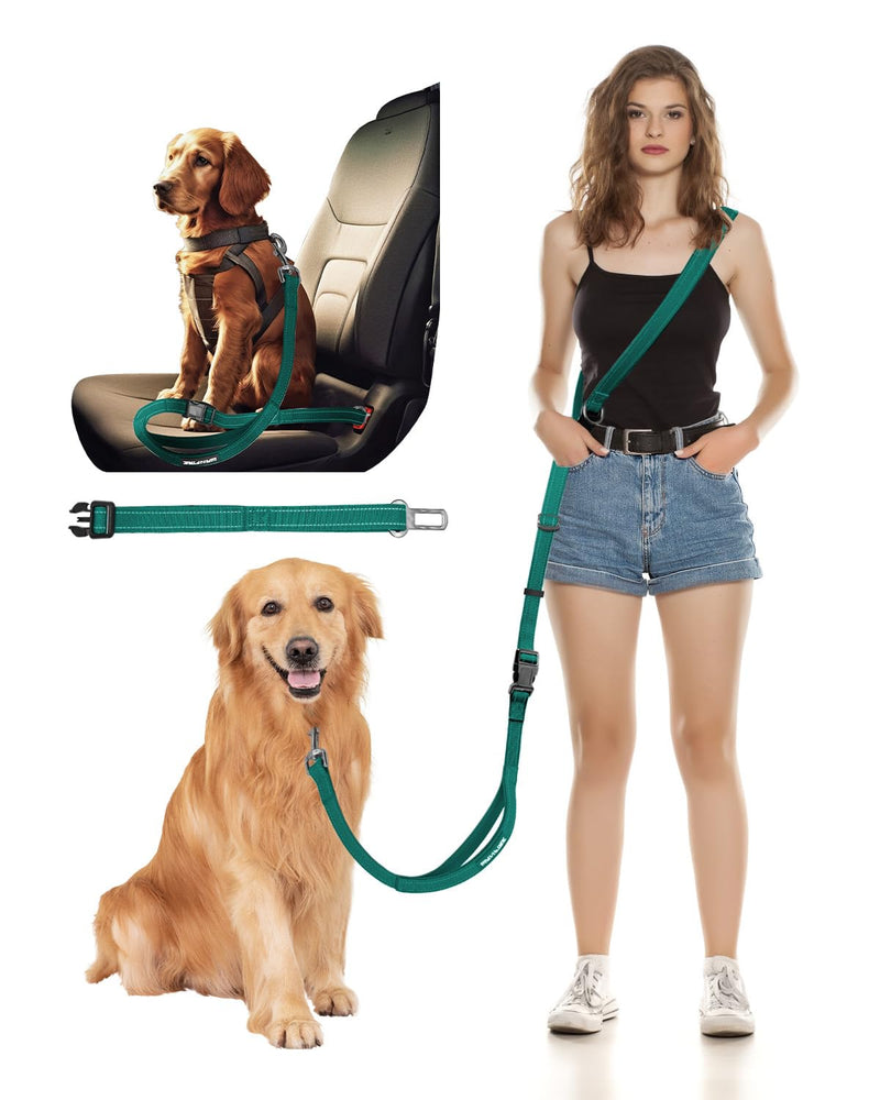Hands Free Dog Leash, 2-in-1 Detachable Pet Seatbelt,5.9-9.2 ft Crossbody Dog Leash with Double-Sided Reflective for Walking, Hiking, Travel etc.(Orange) Green M & L (5.9-9.2 ft) - BeesActive Australia