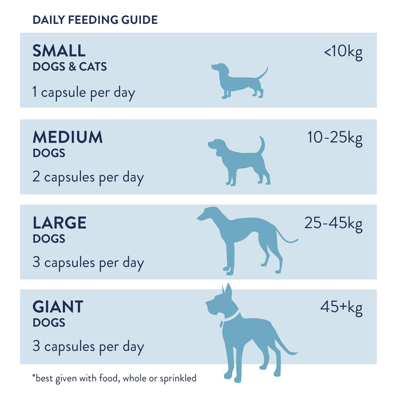 Dorwest Herbs Probiotic Plus for Dogs 100 Capsules, Pre, Pro and Postbiotic with Daily Microbiome Support for Optimal Gut Health