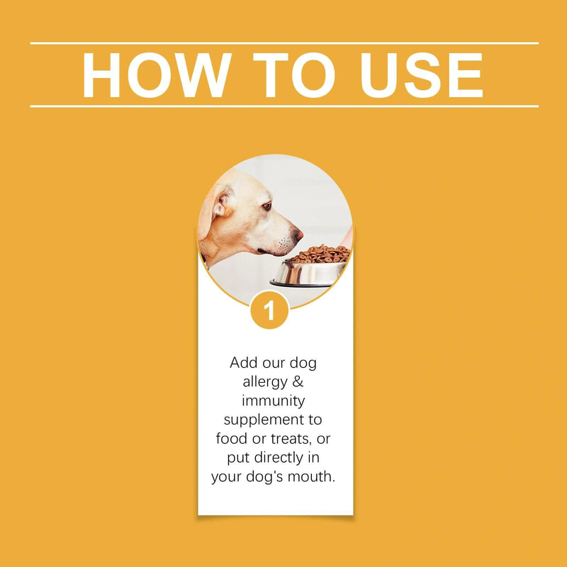 Yeast Infection Treatment for Dogs - Fast-Acting Itchy Skin & Ear Care Solution, Dog Ear Infection Treatment, Allergies Itching Relief, 60ml Formula