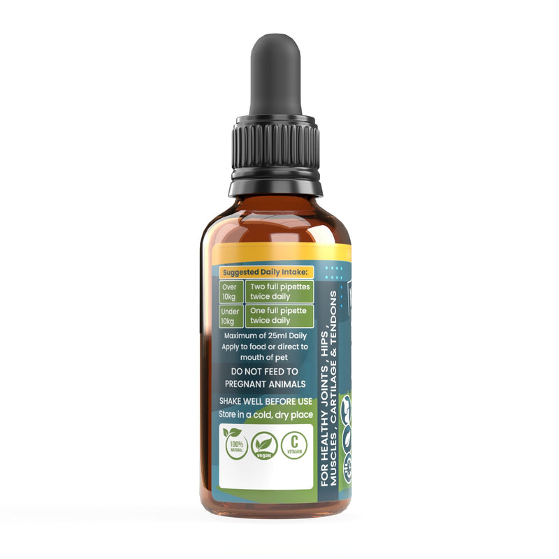 Dogs & Cats Joint and Hip Support Supplement 50ml – Fast Acting Natural Mobility Formula with Glucosamine Vitamin C and Herbal Extracts for Comfort Flexibility and Joint Care Pack of 1