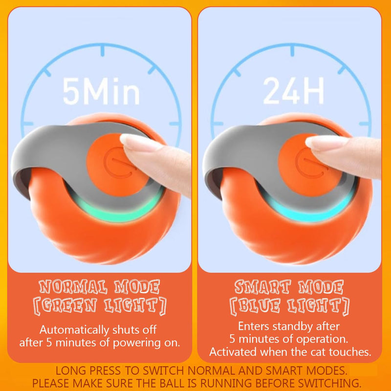 Speedy Tail 2.0, Speedy Tail Cat Toy, Interactive Cat Toy Ball, Motion Activated Cat Toy Balls, Cat Toys Balls with Feather Tail, Automatic Cat Toy, Cat Stimulation Toys for Indoor Cats Orange - BeesActive Australia
