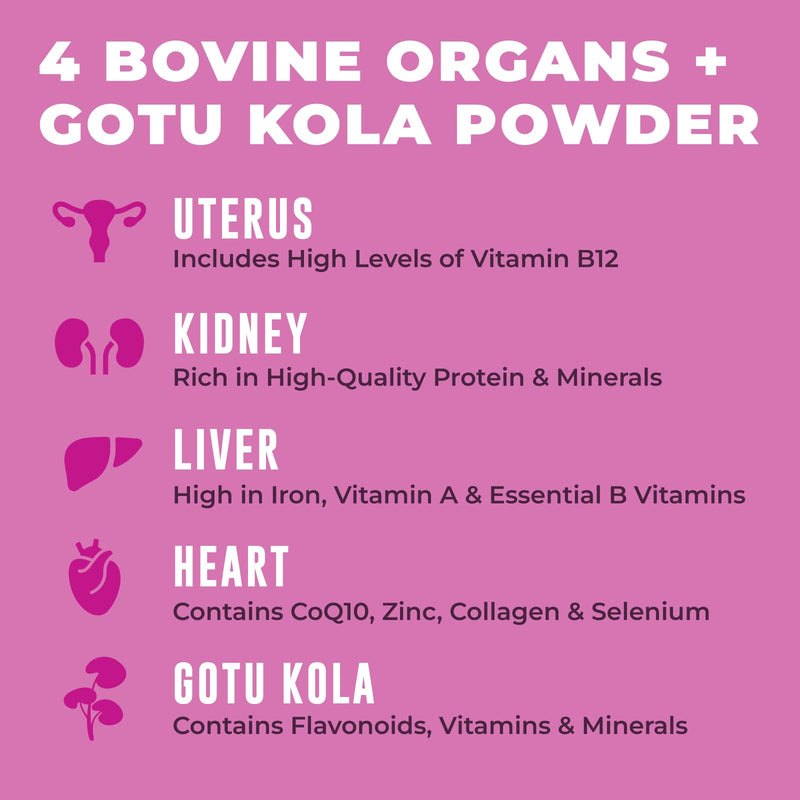 Beef Organ Supplement for Women, 60 Capsules | Beef Liver, Kidney, Heart and Uterus Tissue - Supports Women's Energy & Health - Grass Fed, Pasture Raised, 3rd Party Tested 60 Count (Pack of 1)