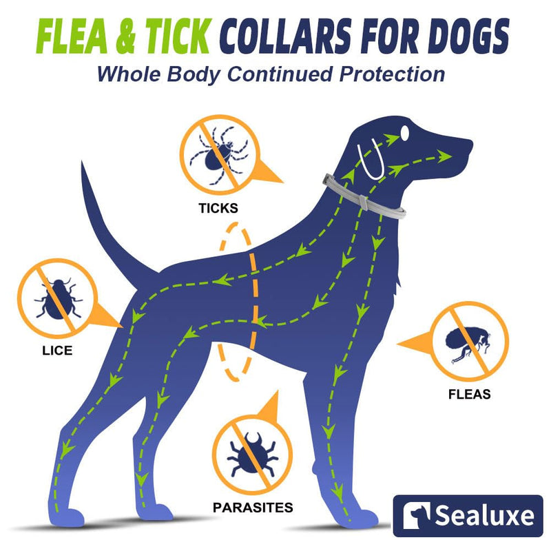 JOBUIZ Flea Collar for Dogs, Flea and Tick Collar for Dogs, 8-Month Long Lasting Protection for Large Dogs, Safe Natural Ingredients Flea Prevention for Dogs, Dog Flea & Tick Control (2 Collars) - BeesActive Australia