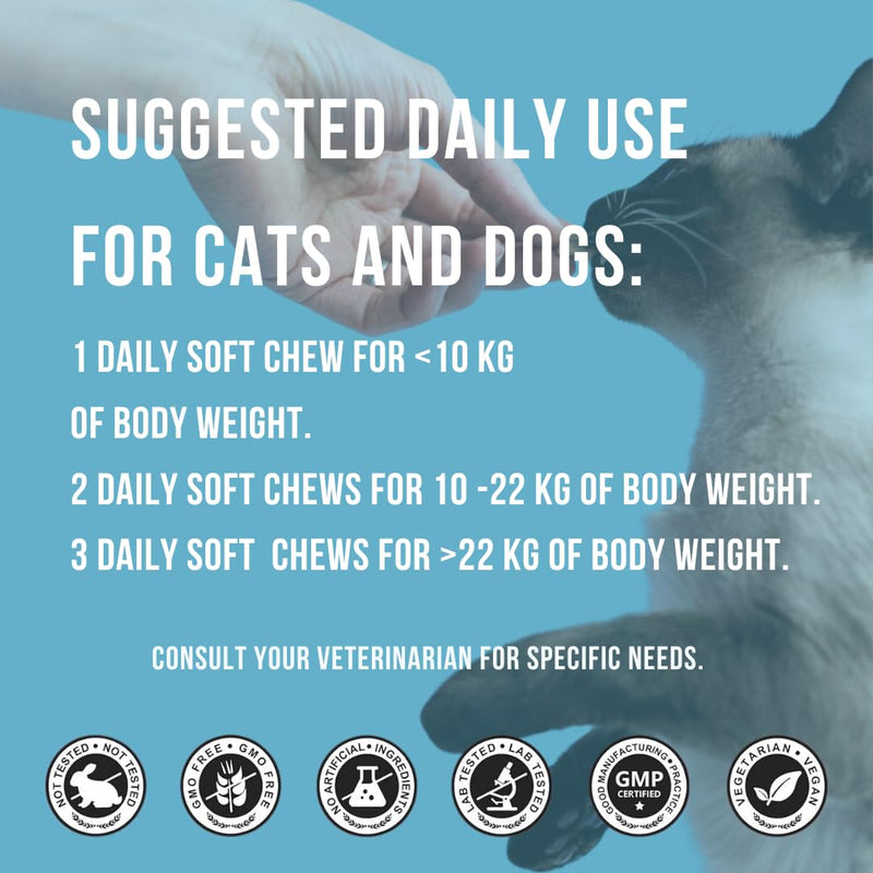 Dog Eye Supplement for Puppies, Dogs & Cats – Natural Eye Vitamins with Taurine, Goji Berry & Chrysanthemum – Supplement for Healthy Eyes – 90 Soft Chews