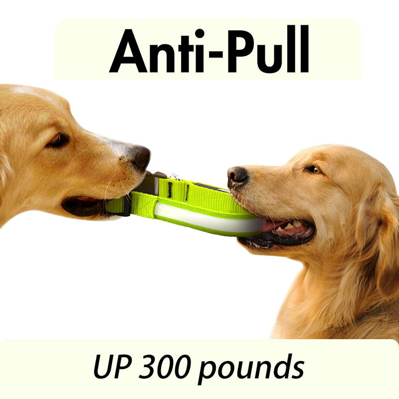 LED Dog Collar- Light up Dog Collars, LED Collar Waterproof, Adjustable Flashing Dog Collar, Rechargeable Dog Collar Visiblity & Safety for Your Dogs (Green, Large) Green - BeesActive Australia